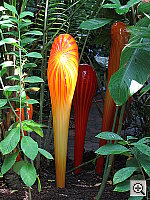 Click to see YIMG_8612.JPG