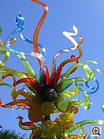 Click to see YIMG_8627.JPG