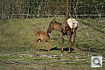 Click to see YDSC01425.JPG