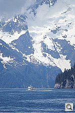 Click to see YDSC01578.JPG