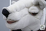 Click to see YDSC01976.JPG