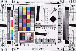 Click to see YDSC00096.JPG