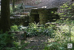 Click to see YDSC00622.JPG