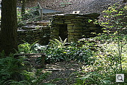 Click to see YDSC00624.JPG
