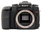 image of the Sony Alpha DSLR-A100 digital camera
