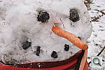 Click to see YDSC00323.JPG