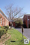 Click to see YDSC02332.JPG