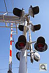 Click to see YDSC02426.JPG