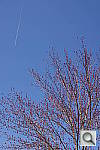 Click to see YDSC02536.JPG