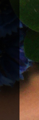  height=