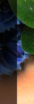  width=