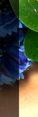 width=