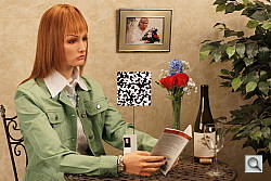 Click to see AA500INBAP1.JPG