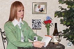 Click to see AA500INBFP1.JPG
