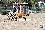 Click to see yDSC00857.JPG
