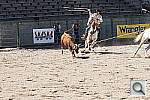 Click to see yDSC00893.JPG