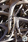 Click to see yDSC01351_DROoff.JPG