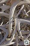 Click to see yDSC01352_HDR6.JPG