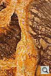 Click to see yDSC01456.JPG