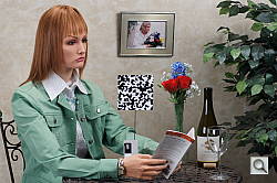 Click to see AA550INBMP1.JPG