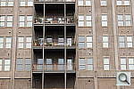 Click to see YDSC00031.JPG