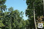 Click to see AA77PINE_IDCdefaults.JPG