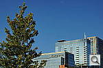 Click to see YDSC00411.JPG
