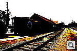 Click to see YDSC00608.JPG