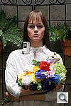 Click to see AA900OUTBCON1.JPG
