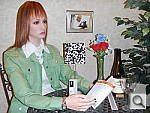 Click to see AW100INB_AUTOFL.JPG