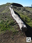 Click to see YDSCN0004.JPG