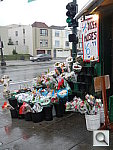 Click to see YDSCN0058.JPG