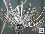 Click to see YDSCN0069.JPG