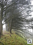 Click to see YDSCN0070.JPG