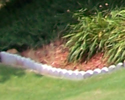 Sony DSC-T33 digital camera image