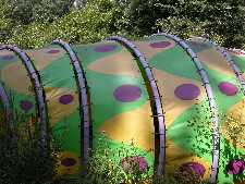 Click to see YDSCN0820.JPG