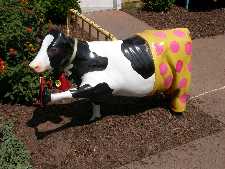 Click to see YDSCN0822.JPG