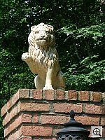 Click to see YDSCN0825.JPG