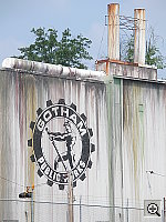 Click to see YP7010581.JPG