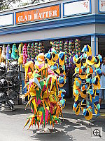 Click to see YP7010584.JPG