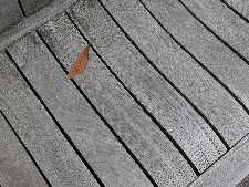 Click to see YDSCN0825.JPG