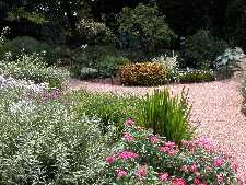 Click to see YDSCN0828.JPG