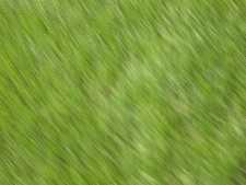 Click to see YDSCN0829.JPG