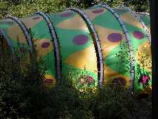 Click to see YDSCN0832.JPG