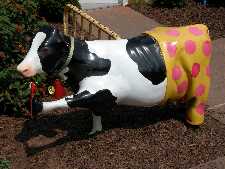 Click to see YDSCN0834.JPG