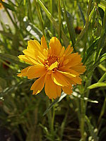 Click to see YP5140394.JPG