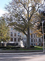 Click to see YPB290665.JPG