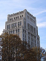 Click to see YPB290676.JPG