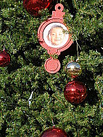 Click to see YPB290685.JPG