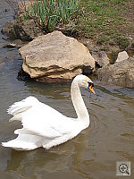 Click to see yP4040523.JPG